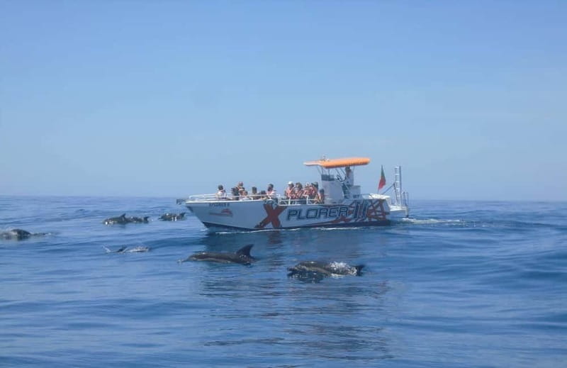 X Plorer – Caves (Benagil) & Dolphins Cruise - From Albufeira Marina toward Carvoeiro