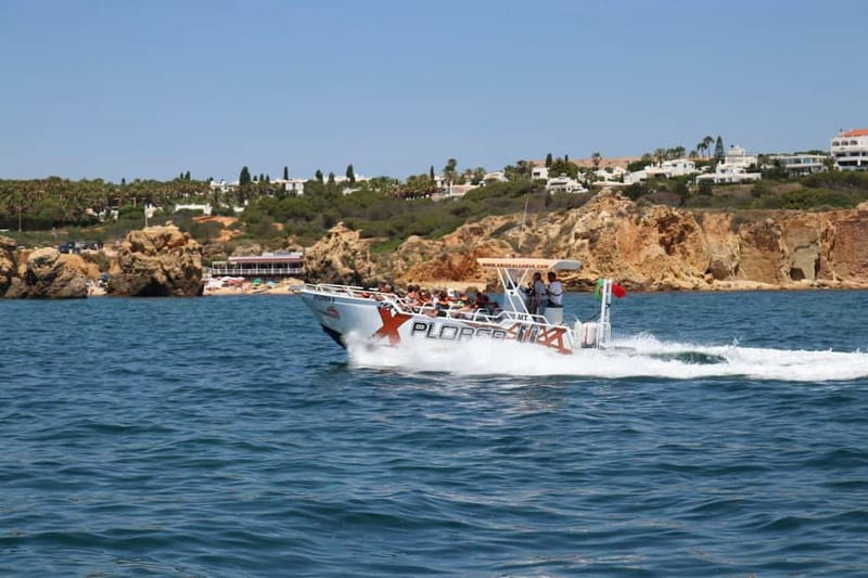 X Plorer – Caves (Benagil) & Dolphins Cruise - Searching for dolphins off the Algarve coast