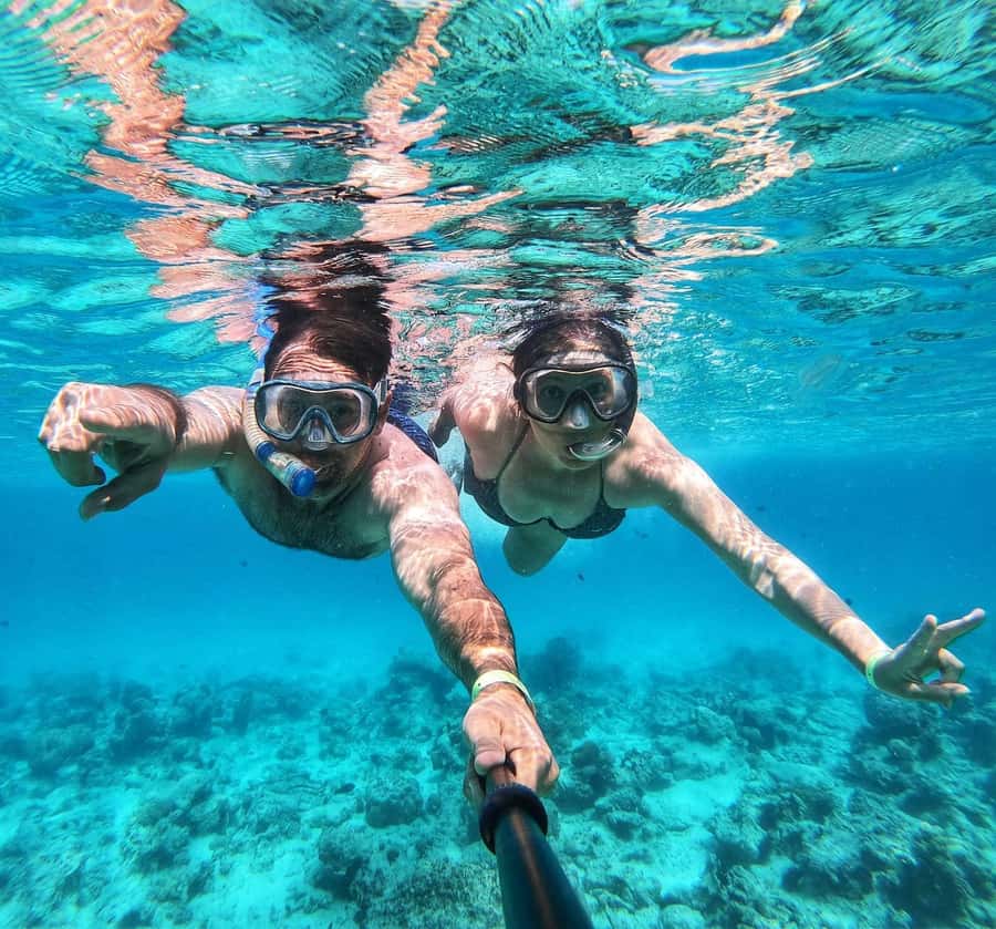 Zanzibar dolphins+ snokling at mnemba with turles swimming - Key points at a glance