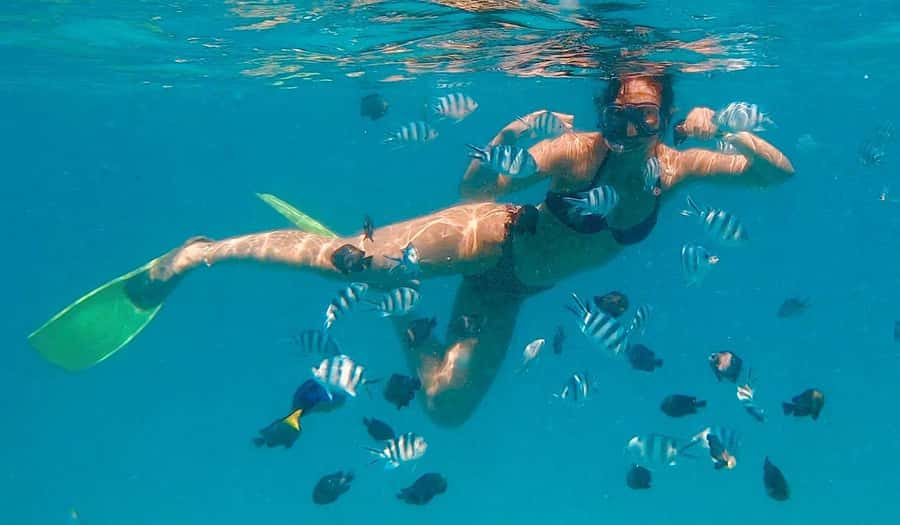 Zanzibar dolphins+ snokling at mnemba with turles swimming - Guides, languages, and the private format