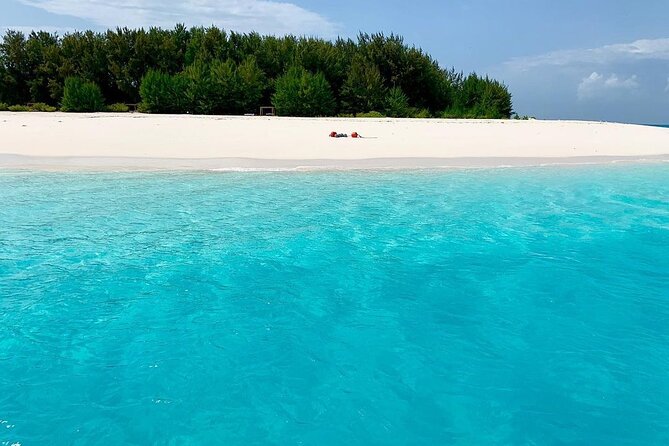 Zanzibar Full Day Dolphin Tour; Mnemba Island; Nungwi Beach & Kendwa Beach Tour - Why this Zanzibar day trip works