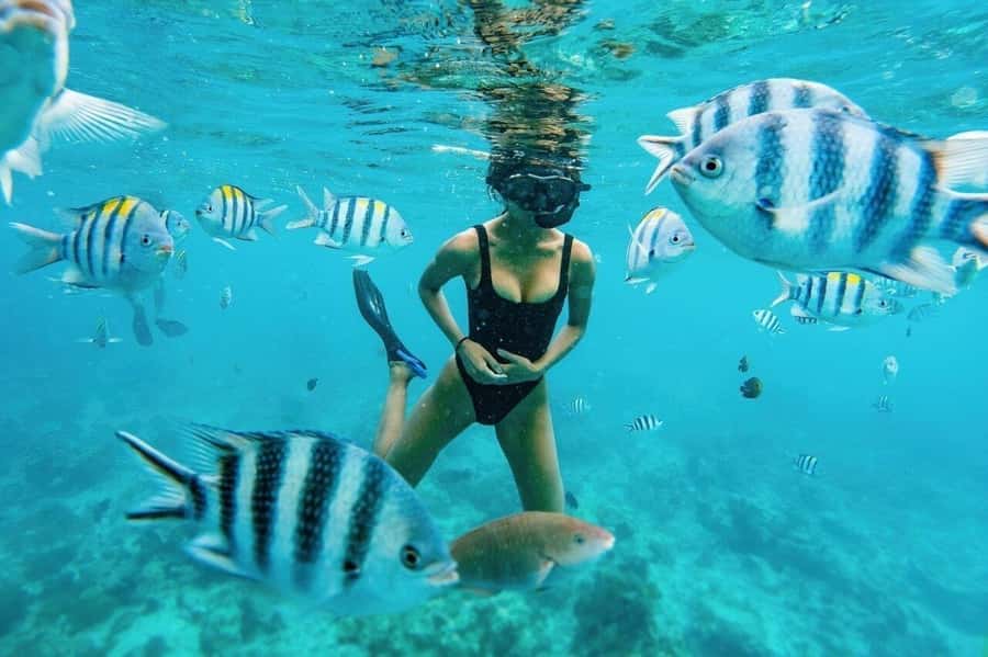Zanzibar: Half-day Dolphin Swim & Snorkeling Boat Trip - Snorkeling in clear water