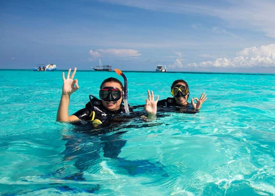 Zanzibar: Half-day Dolphin Swim & Snorkeling Boat Trip - A few practical limits to remember