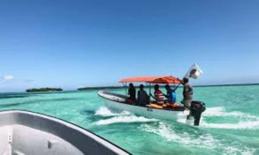 Zanzibar: Mnemba atoll, dolphin & snorkelling tour - Swimming near private Mnemba Island