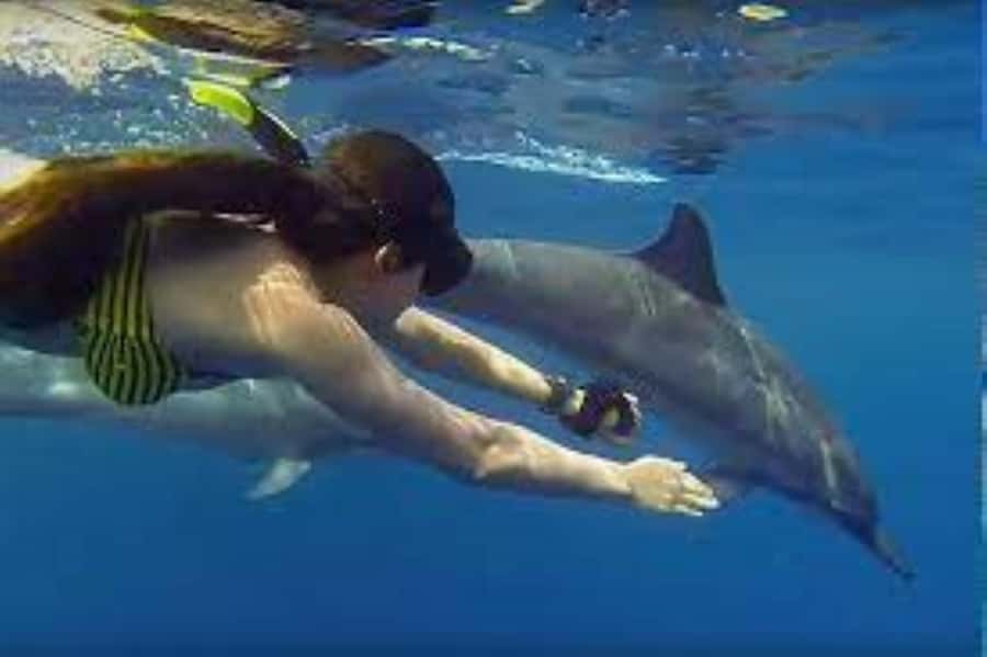 Zanzibar: Mnemba atoll, dolphin & snorkelling tour - What the $81 price really includes
