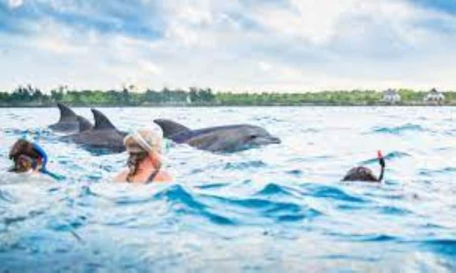 Zanzibar: Mnemba atoll, dolphin & snorkelling tour - Practical details that make the day easier