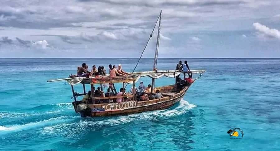Zanzibar: Mnemba Dolphins Tour with Snorkeling and Sandbank - Crowds, wildlife ethics, and safety