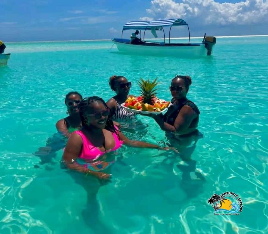 Zanzibar: Mnemba Dolphins Tour with Snorkeling and Sandbank - Booking details worth knowing