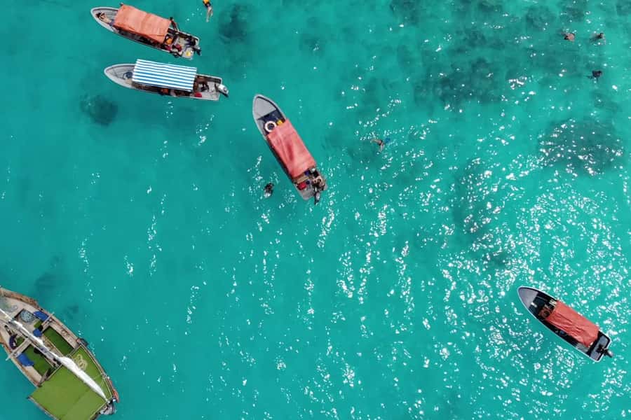 Zanzibar: Mnemba Island Dolphin and Snorkeling Tour - Snorkeling the Mnemba Atoll Reef