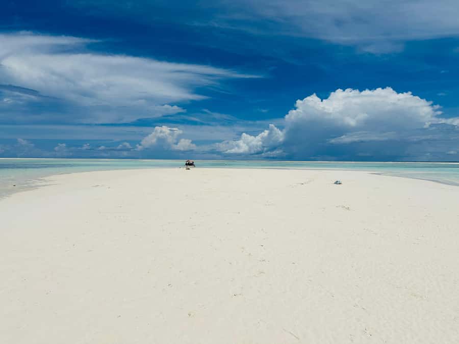 Zanzibar: Mnemba Island Dolphin and Snorkeling Tour - Guides, Languages, and Group Comfort