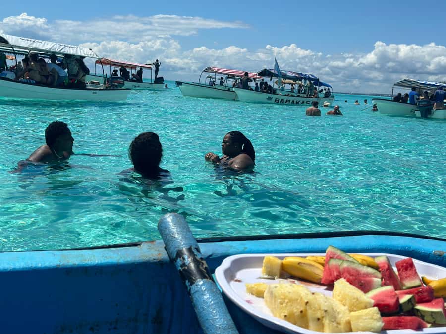 Zanzibar: Mnemba Island Dolphin and Snorkeling Tour - Who Will Enjoy This Most