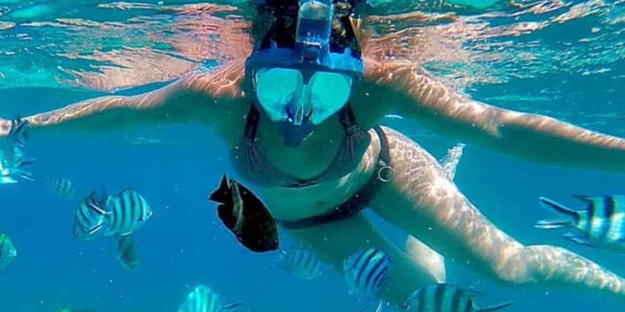 Zanzibar: Mnemba Island&Dolphin Swim With Optional Lunch - Optional lunch and what it is really worth
