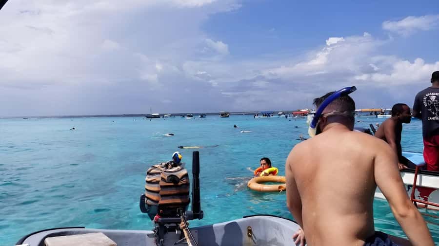 Zanzibar: Mnemba Island&Dolphin Swim With Optional Lunch - Crowds, conservation, and the ethical question