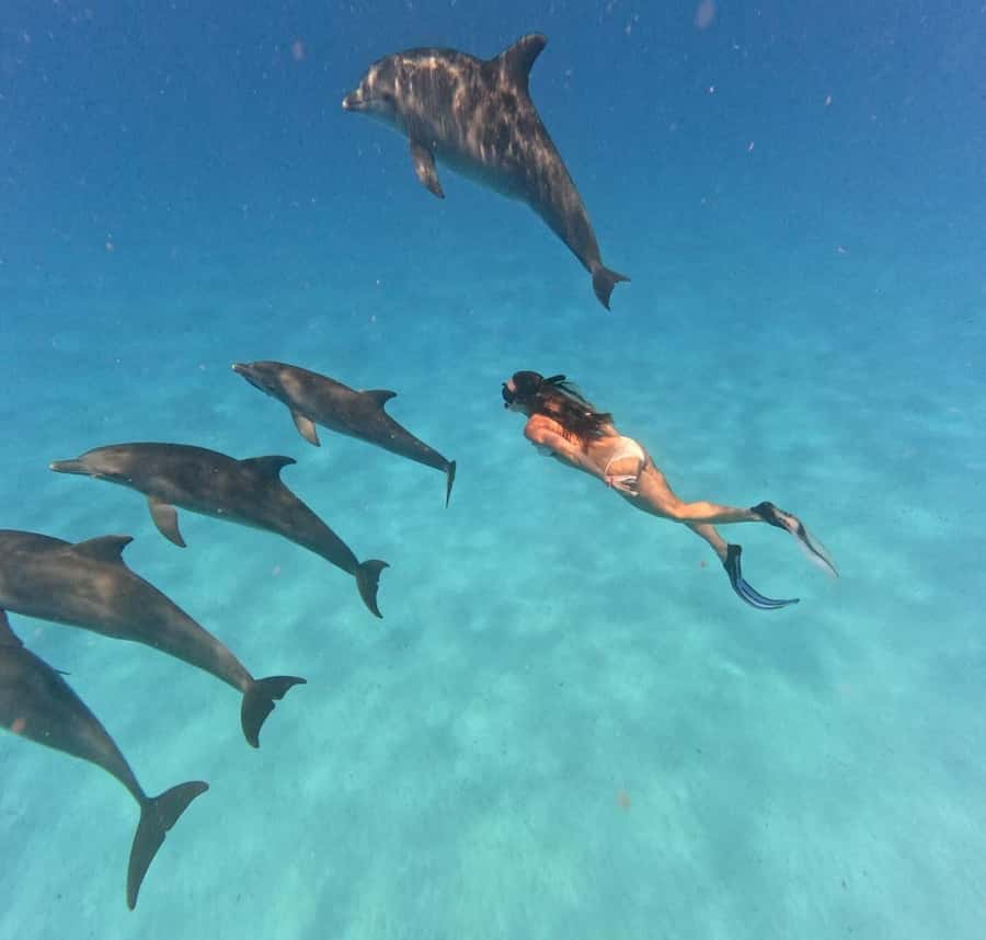 Zanzibar: Mnemba Island&Dolphin Swim With Optional Lunch - Searching for dolphins in open water