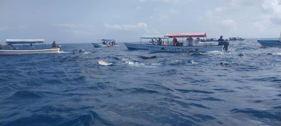 Zanzibar: Mnemba Island Snorkeling and Dolphin Tour - A sandbank shaped by the tide