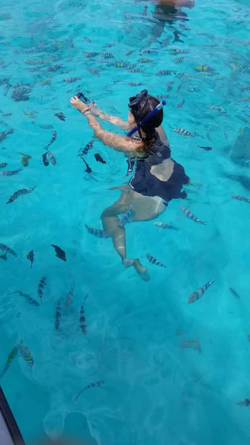 Zanzibar: Mnemba Island Snorkeling and Dolphin Tour - Seafood lunch at the beach