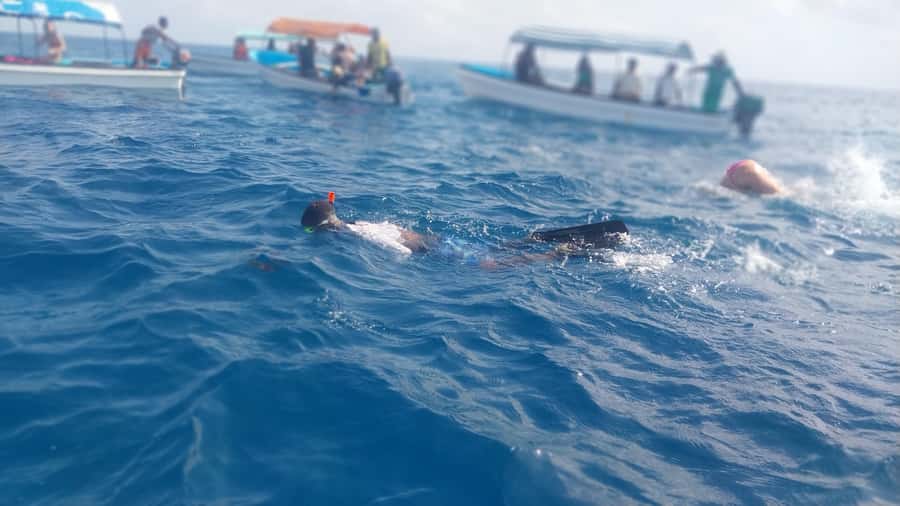 Zanzibar: Mnemba Island Snorkeling and Dolphin Tour - Who will enjoy this boat trip most