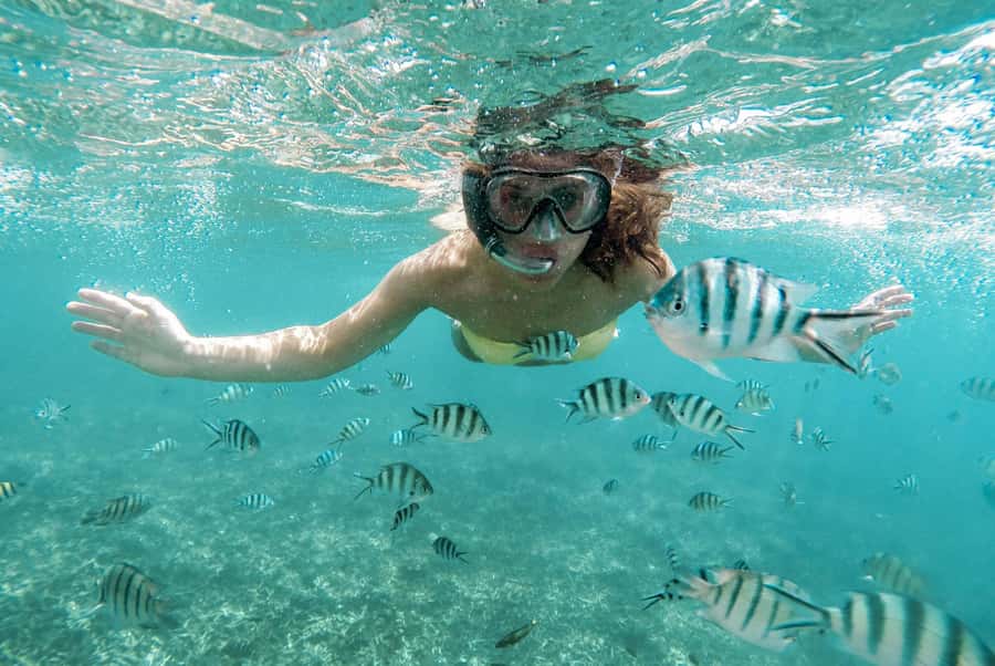 Zanzibar: Mnemba Island Snorkeling and Dolphin Tour - Small details that make the day easier