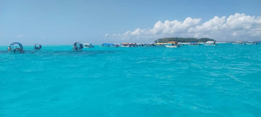 Zanzibar: Mnemba Island Snorkeling & Dolphin - Is $27 a fair price?