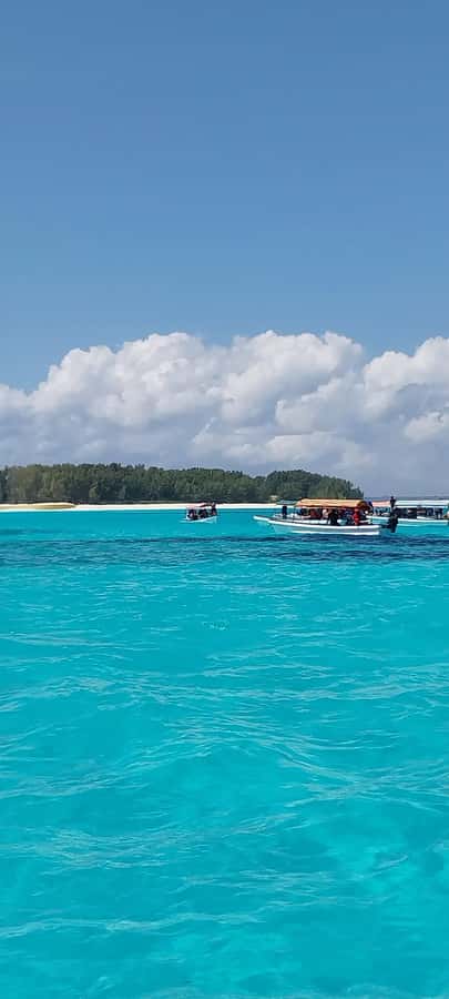 Zanzibar: Mnemba Island Snorkeling & Dolphin - Timing, comfort, and what to bring