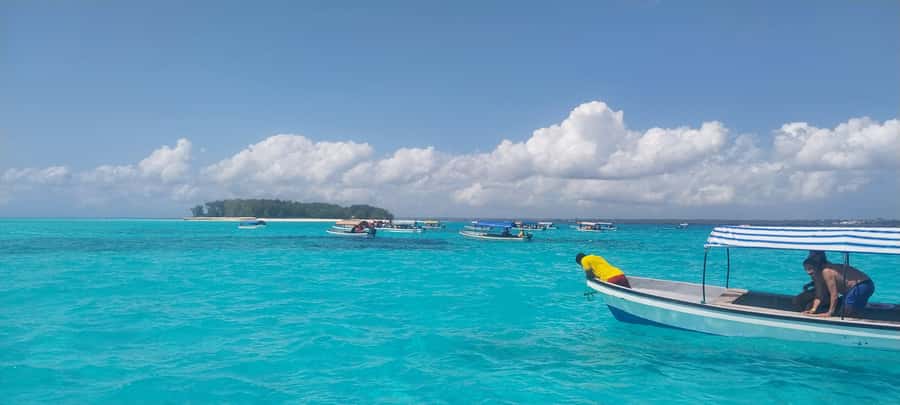 Zanzibar: Mnemba Island Snorkeling & Dolphin - Who will enjoy this Mnemba outing?
