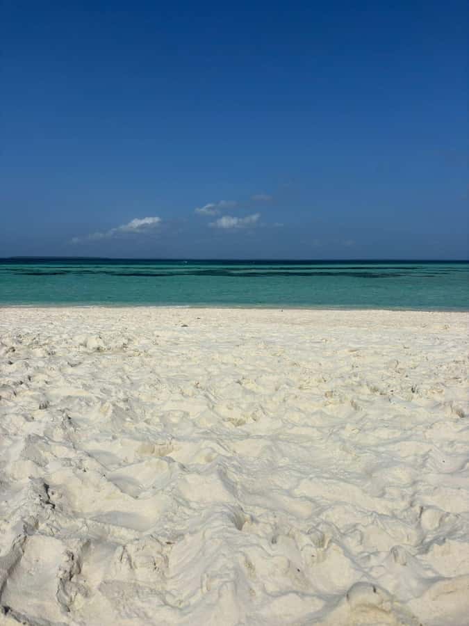 Zanzibar: Pungume island-dolphin watching - BBQ Lunch - Key points before you book