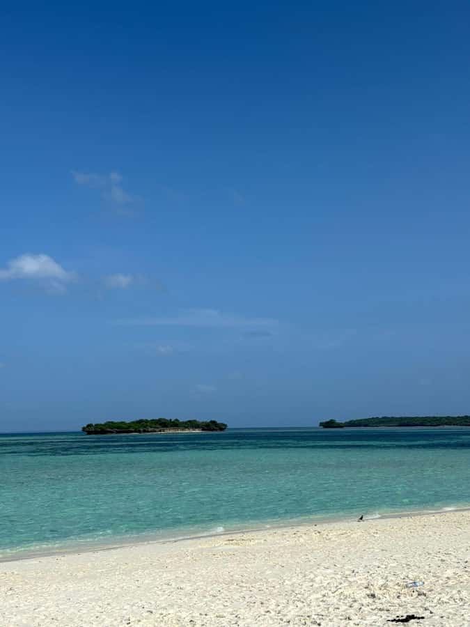 Zanzibar: Pungume island-dolphin watching - BBQ Lunch - Coral, fish, and a supplied snorkeling kit