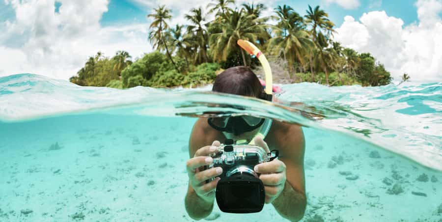 Zanzibar : Swim with dolphin + Snorkel mnemba coral Reef - Why Mnemba Atoll is the real prize