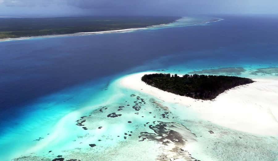 Zanzibar : Swim with dolphin + Snorkel mnemba coral Reef - The dolphin stop needs a realistic view