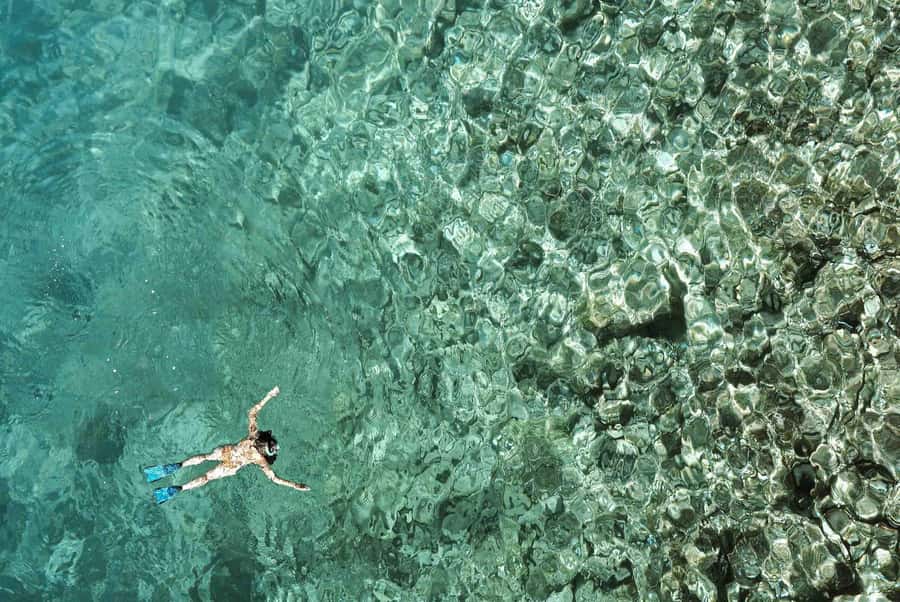 Zanzibar : Swim with dolphin + Snorkel mnemba coral Reef - Should you book the Mnemba dolphin and snorkeling trip?