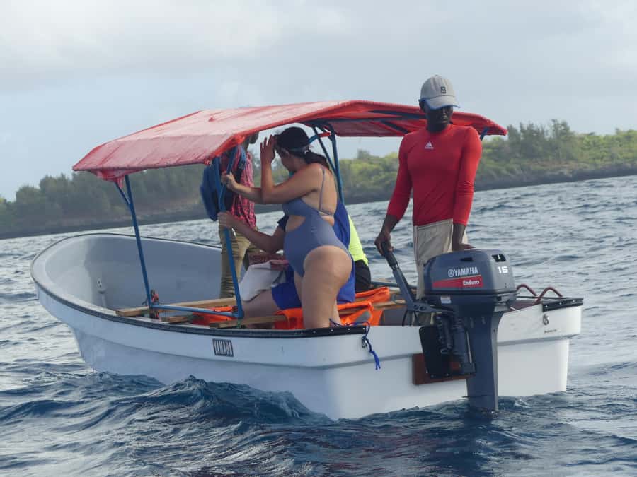 Zanzibar: Swimming with Dolphins and Snorkeling Private Tour - Snorkeling above coral and colorful fish