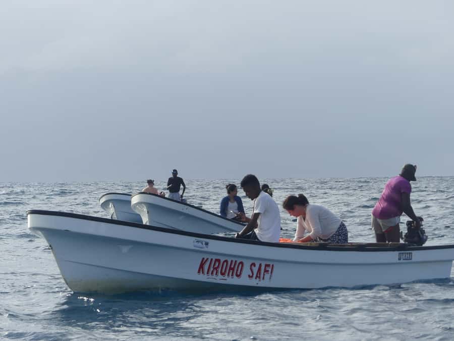 Zanzibar: Swimming with Dolphins and Snorkeling Private Tour - Is $120 per person good value?