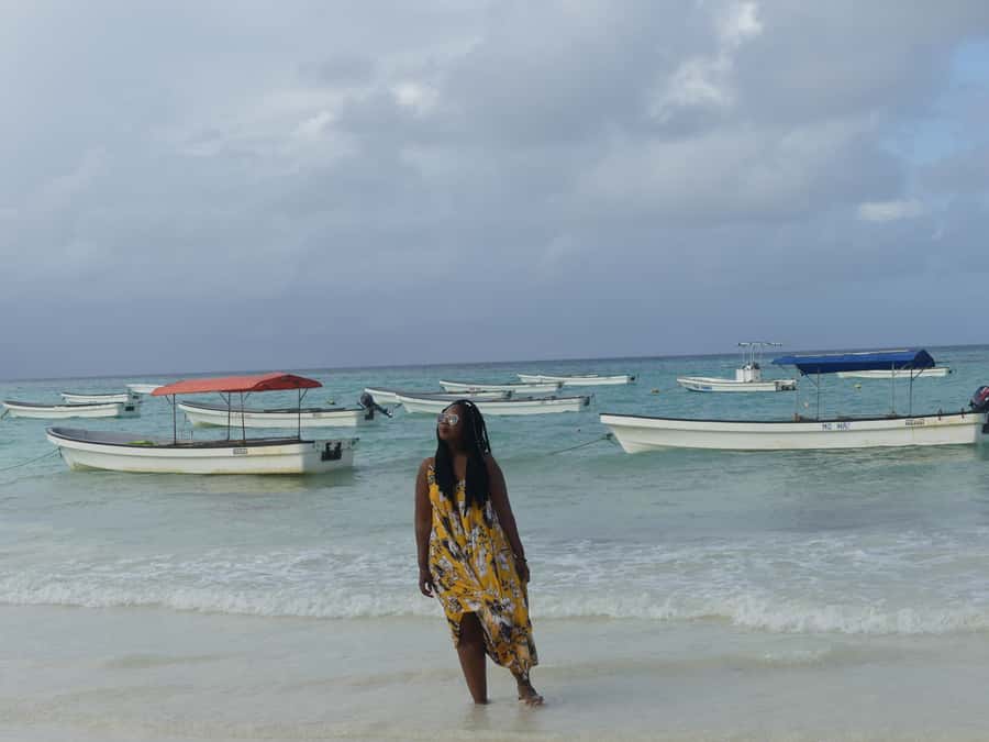 Zanzibar: Swimming with Dolphins and Snorkeling Private Tour - Who will enjoy this three-hour trip